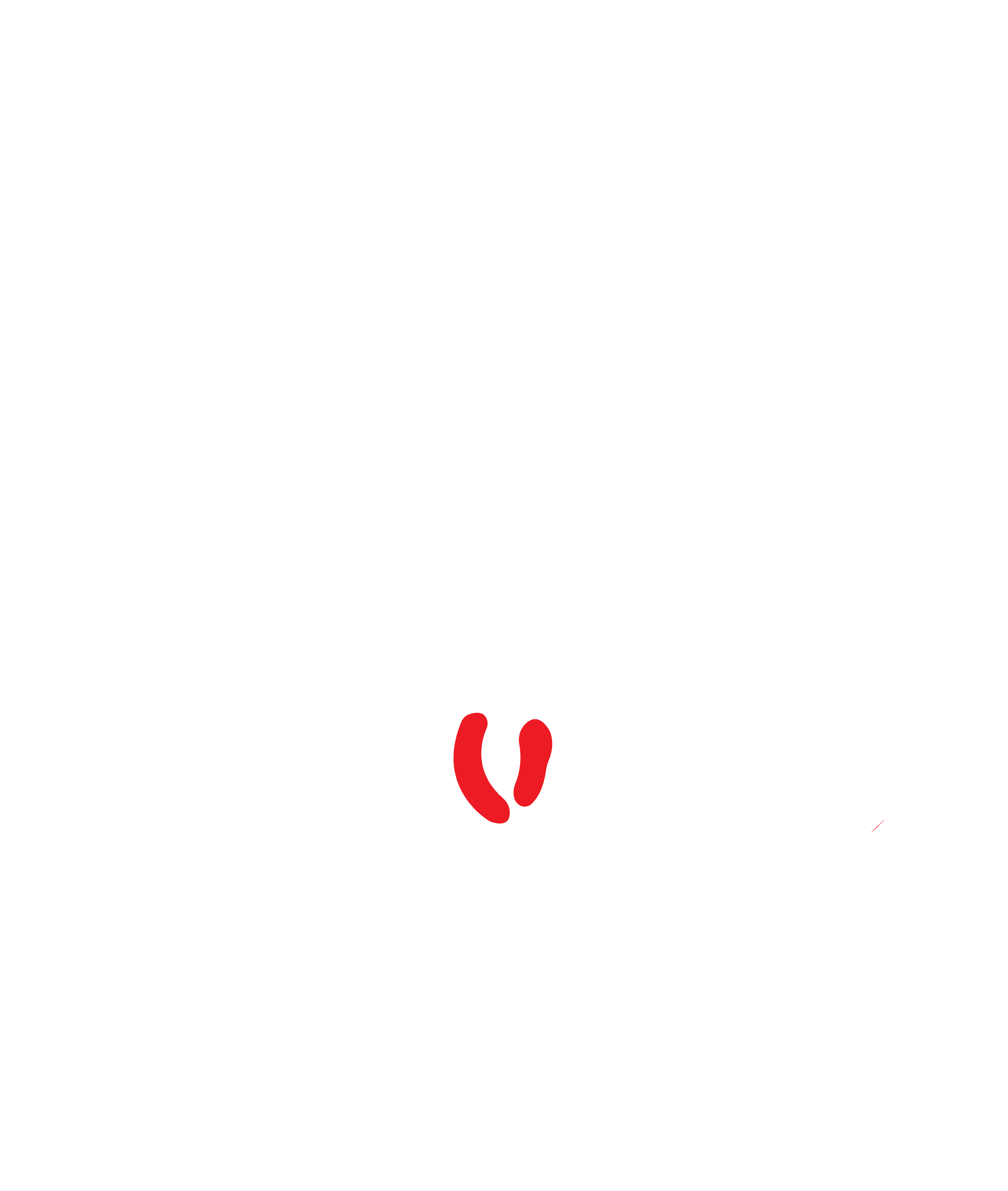 Top Security Services in Dominica | First Wolf Security