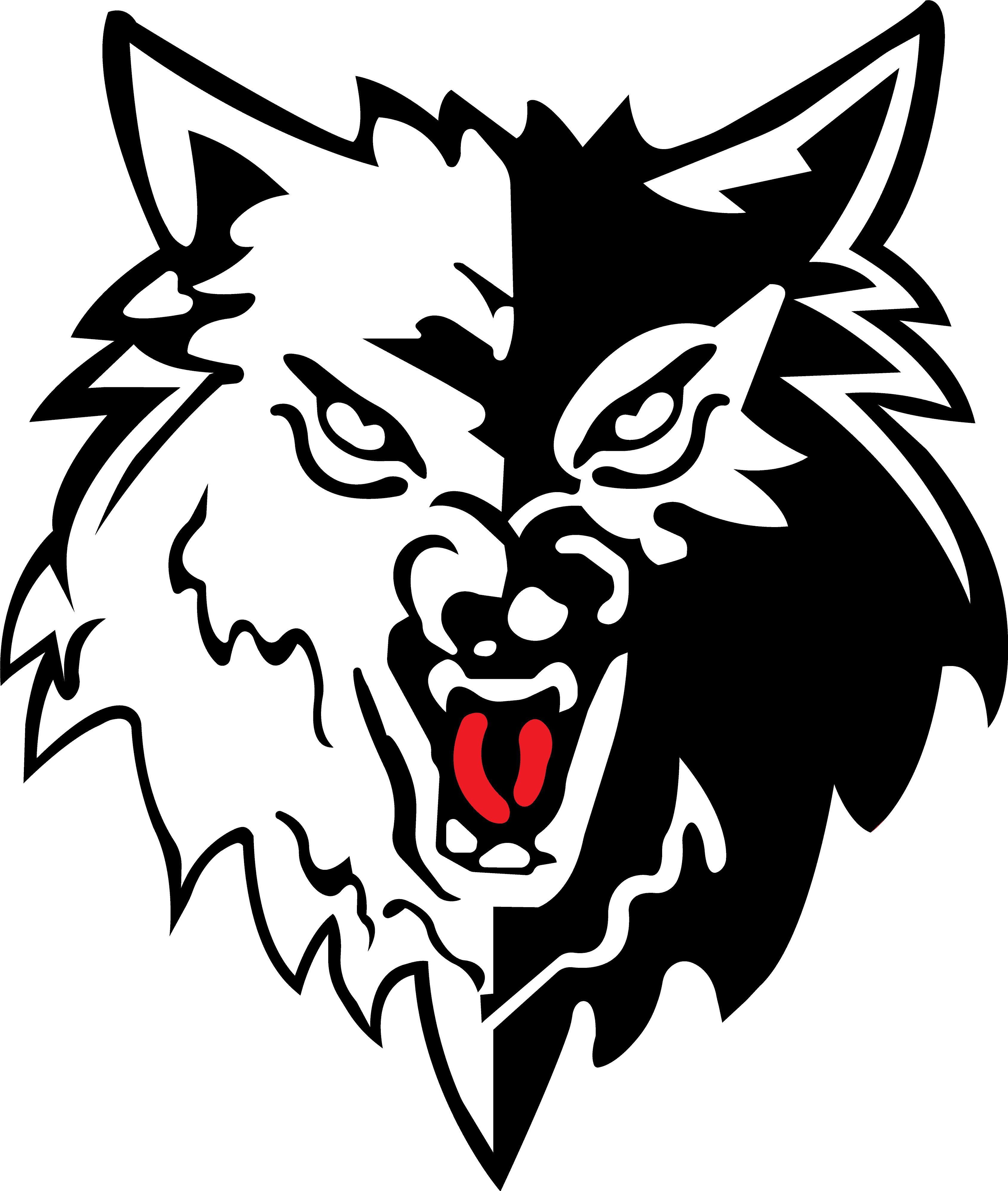 Top Security Services in Dominica | First Wolf Security