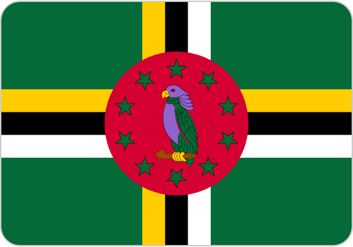 Top Security Services in Dominica